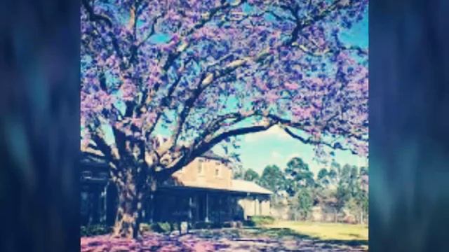 10 красивых фото природы!!! смотреть онлайн