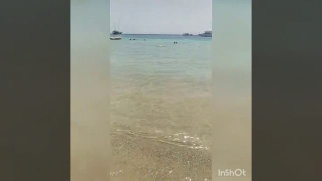 Faraana Reef Resort 4* Апрель 2021 .Обзор номера , территории,пляжа. Завтрак и обед в отеле .