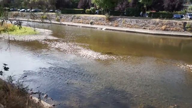 ДЮРБЮИ || самый маленький город в мире??? смотреть онлайн