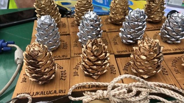 BJJ Forest Cup 2022 в Калуге! ОБЯЗАТЕЛЬНО ПОСМОТРИ ПОЛНЫЙ репортаж. Полный БЖЖ НАСТРОЕНИЯ!