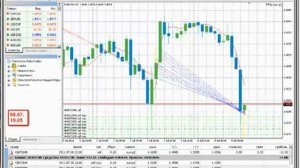 Сколько можно заработать на Форекс за 1 день.