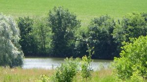 Деревня Андреевка Прохоровский район село андреевка белгород