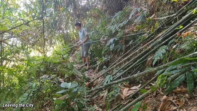 Ultrasound results of 3-week-old fetus - Boundless happiness смотреть онлайн