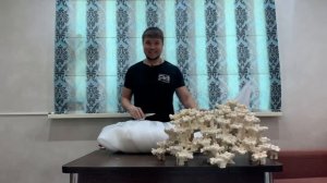 Керамика от Qudvin | Декорация на заказ