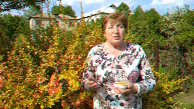 Великолепный хеномелес смотреть онлайн