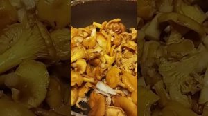 Жареные лисички на зиму