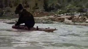 Медвежонок и медведица.m4v