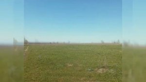 Табиғат көрінісі.Қазақ даласы