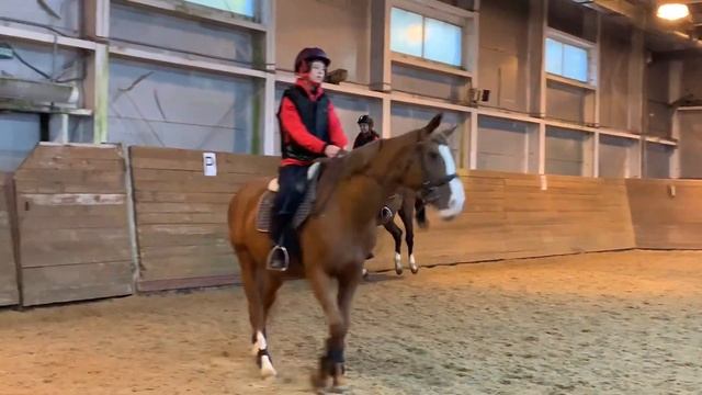 Vlog|день на конюшне| ездим жерди| новая лошадь?? смотреть онлайн