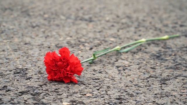 Выпускной РВУ 2019 смотреть онлайн