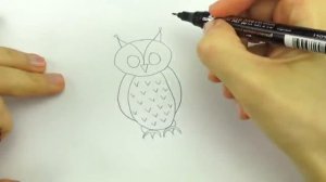 Учимся Рисовать Мишку, Пингвина И Сову. Рисование Для Детей.
