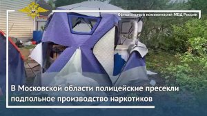 Ирина Волк: В Московской области полицейские пресекли подпольное производство наркотиков