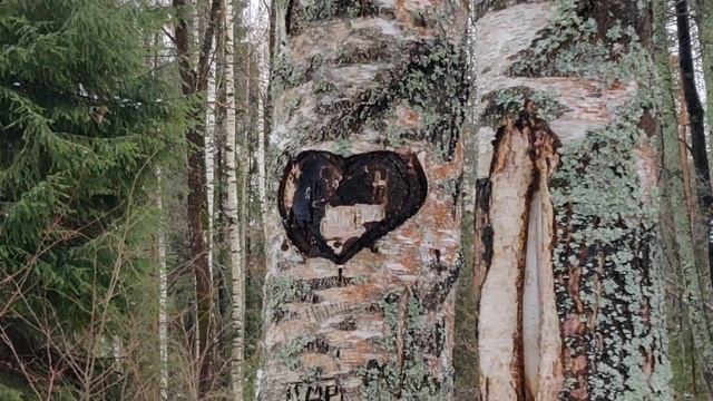 Шурин опять ушёл по-английски, нет бы ушёл по-французски или по-немецки, так нет, надо ему смотреть онлайн