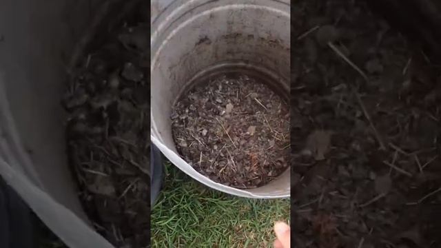 КУРЯК!Подкормка номер 1.Приготовление и пропорции! смотреть онлайн