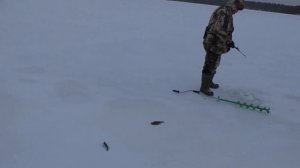 На острове зимой. Рыбалка в Карелии. Ловим на донки и жерлицы.