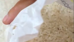 Рис с жуками