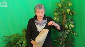 Как упаковать цветы в магазине зимой и донести до дома