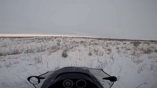 охота на Волка в Казахстане 2023.#охотанаволков#wolfhunting