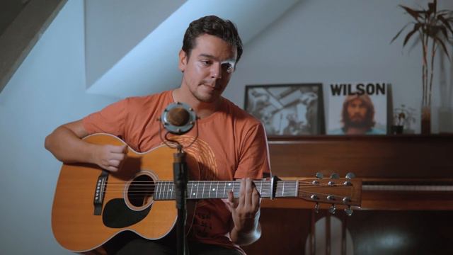 "River Song" - Dennis Wilson cover смотреть онлайн