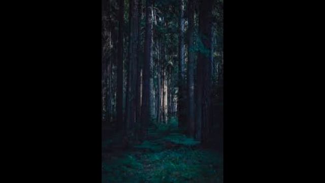 [FREE] Rick Ross x Lil Wayne Type Beat 2022 "Forever After" 432Hz | Emotional/Hard | Piano Type Bea смотреть онлайн