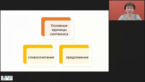 Синтаксис как раздел грамматики. Средства синтаксической связи и построения синтаксических единиц