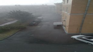 Дождик в Петергофе