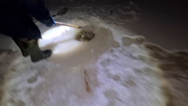 ХАПУГА ТРЕЩИТ ОТ РЫБЫ! РЫБАЛКА НА ХАПУГУ ХЛОПОК! ОГРОМНЫЙ УЛОВ КАРАСЯ! смотреть онлайн