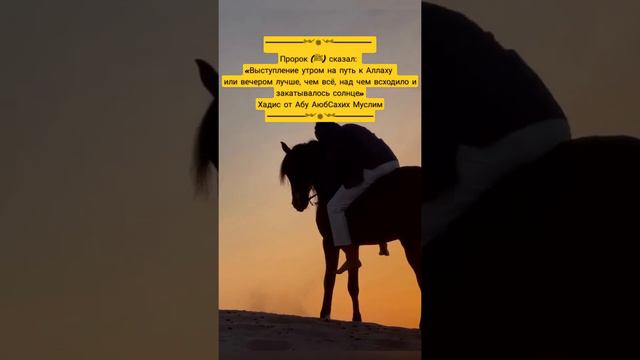 Хадисы Пророка  Мухаммада (ﷺ) (да благословит его Аллах  да и приветствует ) смотреть онлайн