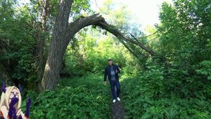 Районы Воронежа/Советский район,мкр.Тенистый(Тепличный)/Квартира Воронеж.Застройщик ДСК/Недвижимост