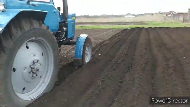 Мтз80. Посадка картошки под фрезу.