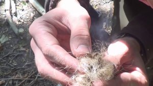 Добывание огня с помощью лука