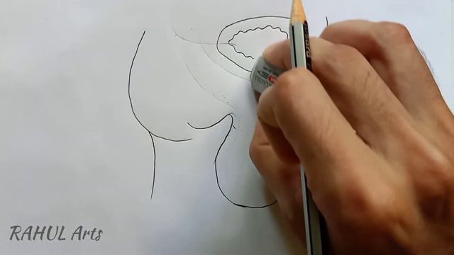 How to draw Male Reproductive System in easy steps | Class 10 Biology CBSE @RAHULArts_Biology