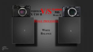 FUJIFILM X T30 II vs Canon M6 Mark II