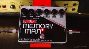 03. EHX Memory Man