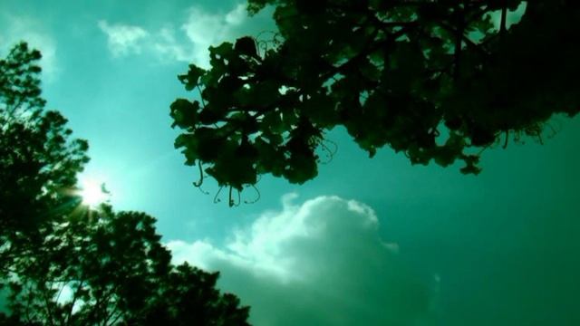 У КОЛОДЦА. Валентина Севостьянова. смотреть онлайн