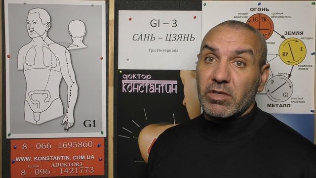 Миндалины - Гланды.