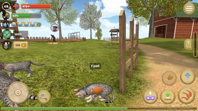 Симулятор КОТА и КОШКИ #8 Котенок купается. Новая порода Египетская Мау на пурумчата смотреть онлайн