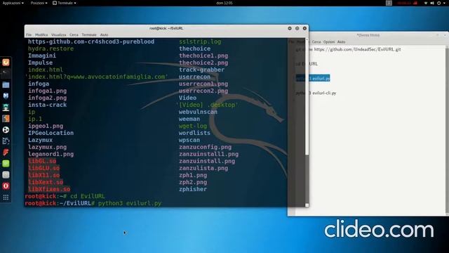 Installazione ed uso di EvilURL su Kali Linux OS смотреть онлайн