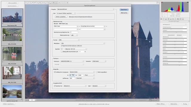 Viele Raw-Bilder als jpeg speichern. (Photoshop Tutorial für Einsteiger) смотреть онлайн