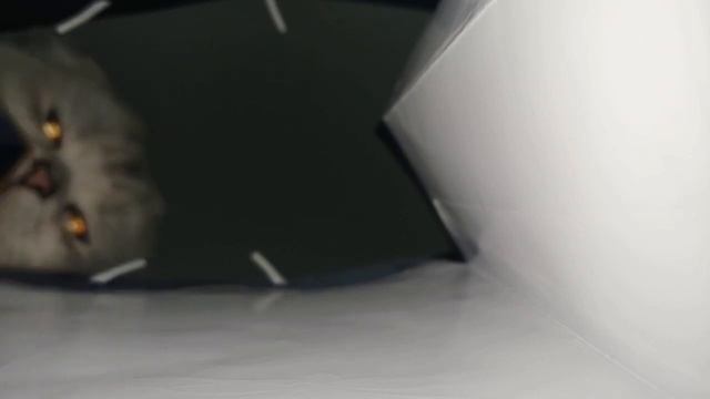 Эй, кто-нибудь дома? смотреть онлайн