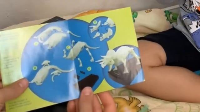 Скелет Динозавра светится в темноте (Трицератопс)