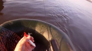 Убойный воблер AXA-80 от Apia/Spartas X IMA.На барракуду.А у нас - на жереха.Asp Fishing.