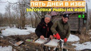 Проверяем жерлицы. Обрабатываем рыбу в избе  #зимняярыбалка #андрейновиков #рыбалкасдрюней