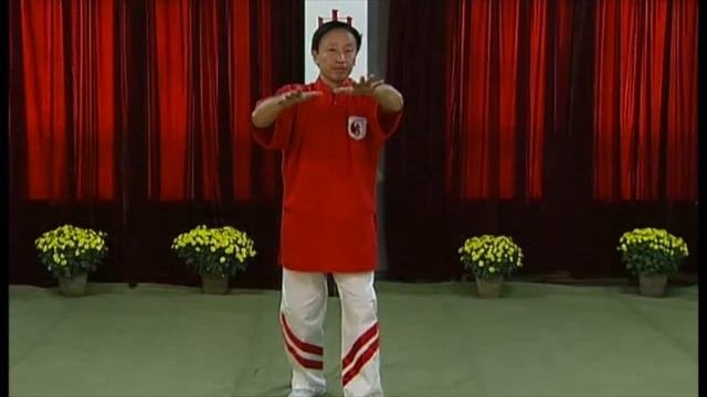 Программа обучения Ицюань / Yiquan / 3-й уровень