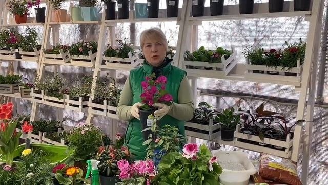 Мастер-класс уход за комнатными растениями
