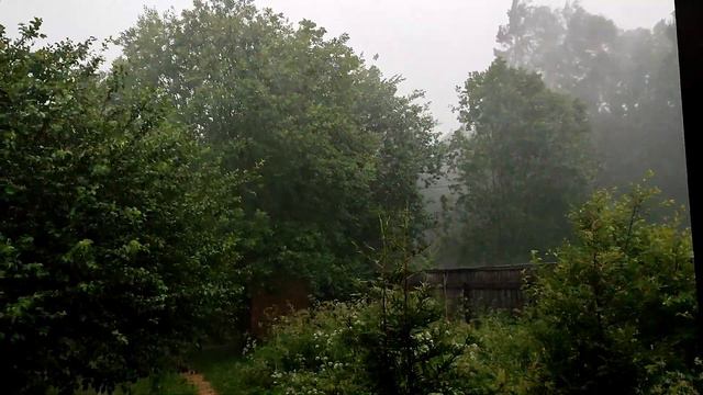 Была жуткая буря / Как там гнездо с птенцами? смотреть онлайн