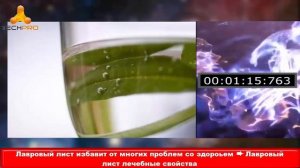 Возьмите лавровый лист на работу! Тайна Жрицы…