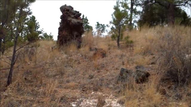 Hunting Outside of Nye and Ashland, Montana, Fall 2011 смотреть онлайн