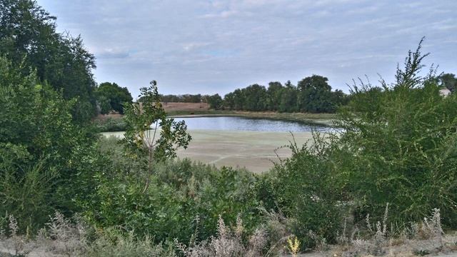 Мечтательность смотреть онлайн