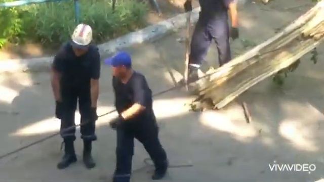 Тополя в Караганде после урагана📽️ смотреть онлайн